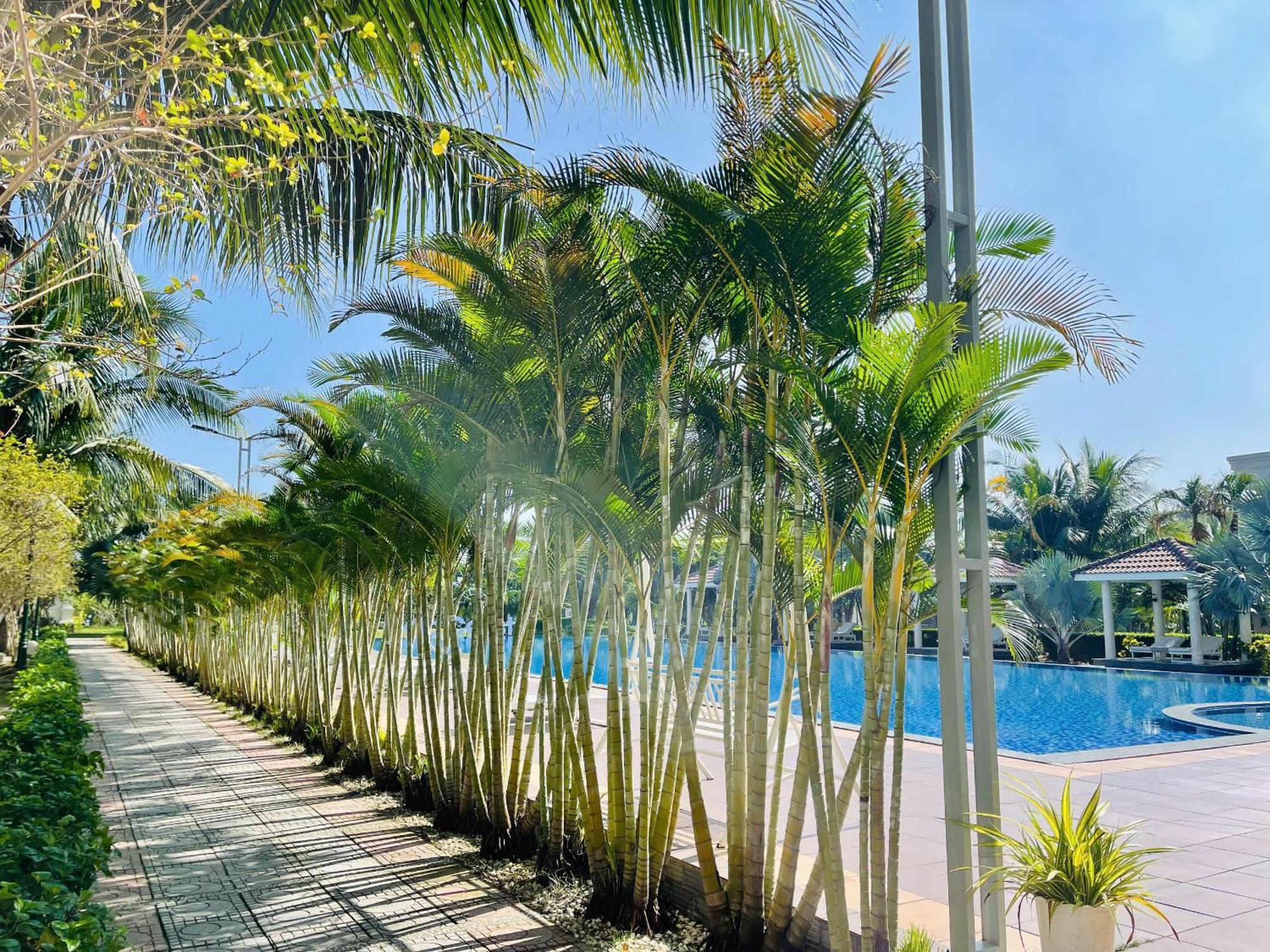 Gold Coast Hotel Resort & Spa Донгхой Экстерьер фото
